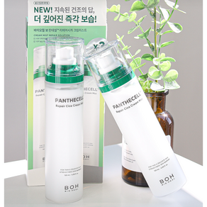 [크림미스트 BEST] 촉촉한 바이오힐보 판테셀 리페어시카 크림 미스트 기획세트, 4개, 120ml