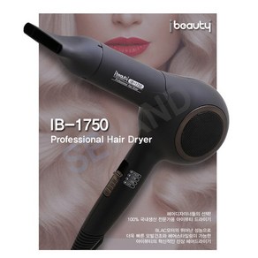 예스뷰티 아이뷰티 전문가용 BLAC 모터 고성능 드라이기 IB-1750 1700W, 블랙