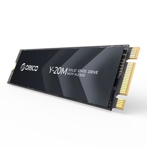 오리코 M.2 SATAIII PCIE NGFF 프로토콜 SSD Y20M, 512GB