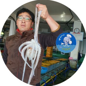 국내산 뻘낙지 (장흥) 세발낙지, 1박스, 중낙지(110-130g) 10마리