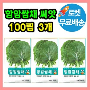 항암쌈채 씨앗 종자 (합 300립) 쌈채소, 3개