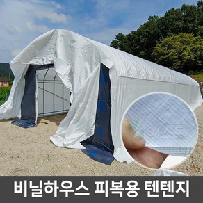 비닐하우스 텐텐지 하우스자재 피복 자재, 텐텐지 180g 8m x 10m, 1개