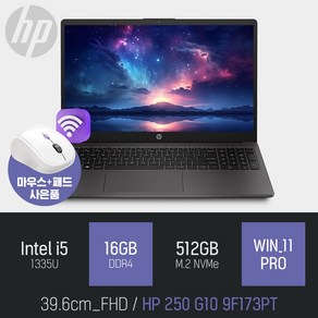 HP 250 G10 9F173PT [무선 마우스 증정], WIN11 Po, 16GB, 512GB, 블랙