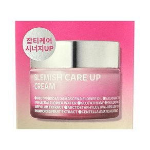 아이소이 블레미쉬 케어 업 흔적크림, 35ml, 1개