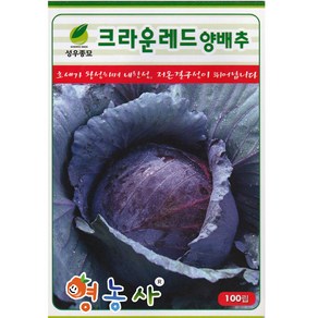 크라운 적양배추 씨앗 100립 빨간 양배추씨 종자 영농사, 레드양배추, 1개