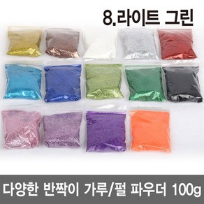 와이지알씨 반짝이 가루 100g 펄 파우더 진주 슬라임 네일 공예