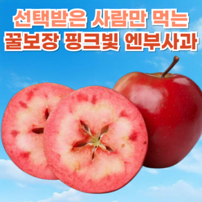 [핑크드림사과] 꿀처럼 달달 향긋한 엔부사과, 1개, 1kg