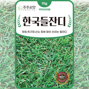 [주주씨앗] 한국들잔디 씨앗 10g 산소잔디씨 묘지용 잔디 종자 약 15000립, 1개