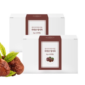 국산 직접 채취한 자연산 영지버섯차 감초 영지 티백차, 2박스, 2g, 20개입