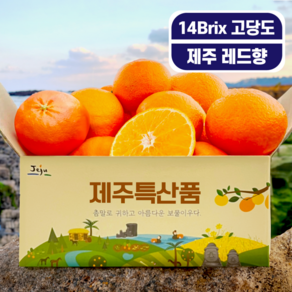 [산지직송] 최고당도 제주 레드향 청정제주 레드향, 1박스, 2kg