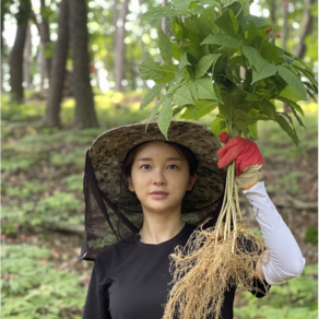 삼선생 강원도 정기를 머금은 산양삼 장뇌삼 산삼 산양산삼 장뇌산삼 국내산 6년근 5뿌리 선물세트, 1개, 72g