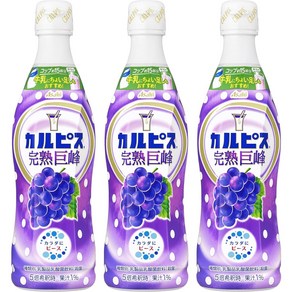 일본 칼피스 원액 포도맛 거봉맛 470ml 3개세트, 3개