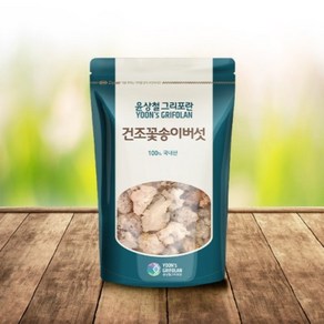 윤상철그리포란 윤상철 건조꽃송이버섯 100g 원목재배 베타글루칸 함유