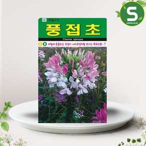 솔림텃밭몰 풍접초씨앗 200립 풍접초 꽃씨앗 꽃씨 야생화, 1개