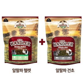 펫츠핸들러 토끼&기니피그 알팔파 펠렛사료 600g+알팔파 건초 500g, 1개