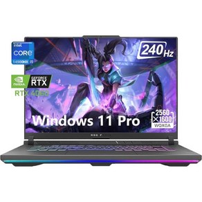 ASUS ROG Stix G16 16인치 240Hz 게이밍 노트북 인텔-i9-14900HX(24코어) 엔비디아 지포스 RTX 4060 64GB DDR5 RAM 1TB S, 32GB DDR5  2TB SSD, 1개