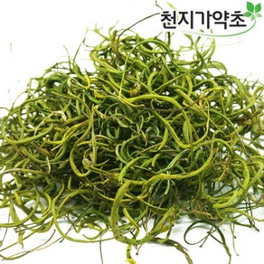 국내자연산 일엽초 건재, 10g, 1개