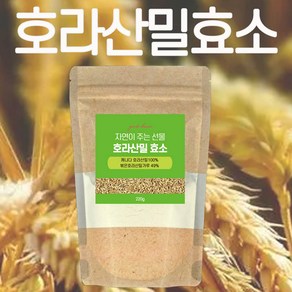 호라산밀 효소 220g 캐나다산 호라산밀 효소 분말 2개월분