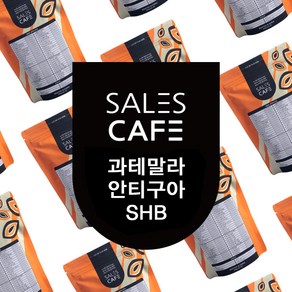 과테말라 안티구아 SHB 200g원두커피(SROC050CI0200A01), 중간분쇄/더치(U), 더치, 200g, 1개