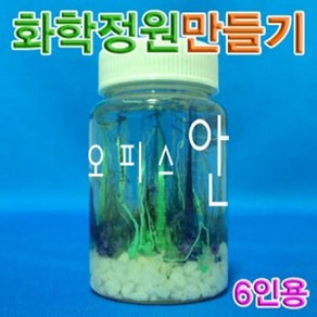 오피스안 화학정원 만들기 (6인용) ES-0911