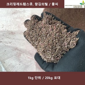 크리핑레드훼스큐 1kg 20kg 왕김의털 양잔디풀씨 풀씨 정원잔디, 1개