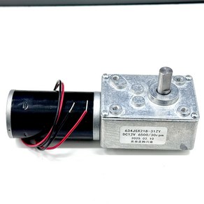 JSX31ZY 12V 1.2A 30RPM 30D 25kg.cm 이중 모터, 1개
