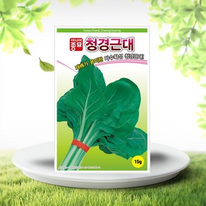 흙닷컴 근대씨앗 15g 청경근대 쌈채소 채소씨앗 내병성품종, 1개