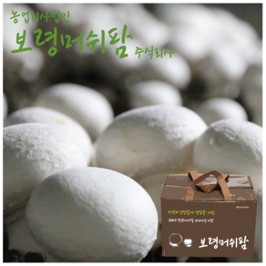 (산지직송)보령머쉬팜, 양송이버섯 2kg 선물용, 1개