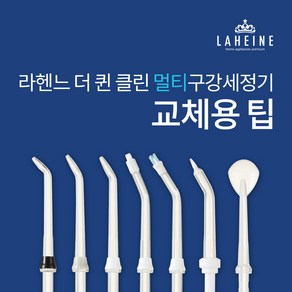 [라헨느]더 퀸 클린 멀티형 구강세정기 교체용 팁, 1개