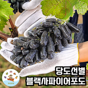 씨없는 고당도 블랙사파이어 포도 1kg 2kg 8.6kg 박스, 1개