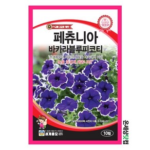 페츄니아바카라블루피코티 10립 / 고급꽃 꽃씨 종자 F1 교배종, 1개