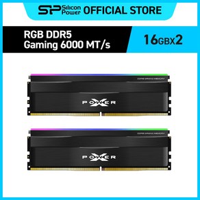 실리콘파워 Silicon Powe DDR5-6000 CL30 RGB PC5-48000 데스크탑 메모리키트, 16GBx2 블랙