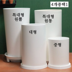 중형 대형 화분 분갈이 재료 셋트 DIY 키트 플라스틱화분 상토 마사토 난석 분갈이 한번에 해결