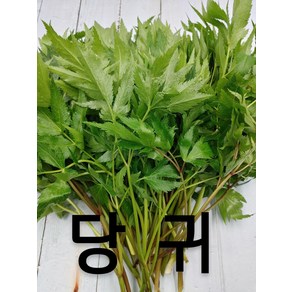당귀 당귀잎 1kg 내외 국내산 야채맘, 1개