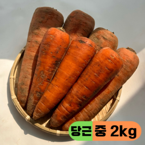 만근농장 국내산 햇당근 흙당근 주스용 쥬스용 못난이, 1개, 2kg(중)