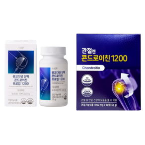 콘드로이친 뮤코다당 단백 콘드로이친1200 콘드로이친1200