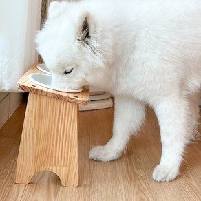 대형견 밥그릇 강아지 식탁 애견 고양이 수반 오일코팅 식기 2구, 대형견 오일코팅 식기 2구, 26cm, 1개