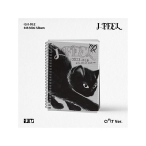 여자아이들 앨범 I FEEL Cat ve (북릿+리릭페이퍼+CD 외), 단품