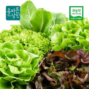 무농약 유러피안 샐러드 야채 쌈채소, 1개, 1kg
