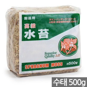 세인화분 AA+ 천연 수태 500g - 테라리움 토피어리 난 란 서양 동양 화초 식물 수경 화초 행잉 바스켓 관엽 모스 이끼 석부작 풍란, 1개