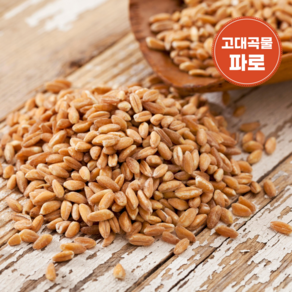 파로 곡물 파로밥 파로쌀 FARRO 엠머밀, 1개, 1kg