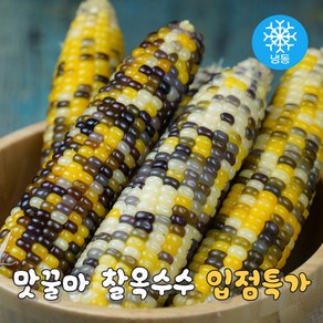 맛꿀마 쫄깃탱글 냉동 찰옥수수 삶은옥수수 알록이