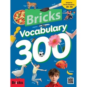 Bicks Vocabulay 300