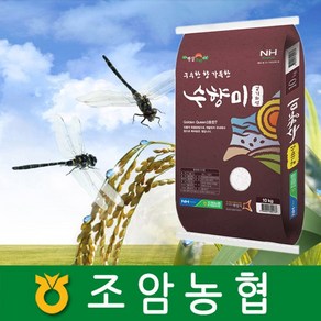 2024년 햅쌀 경기도 조암농협 수향미 10kg 경기미 햅쌀