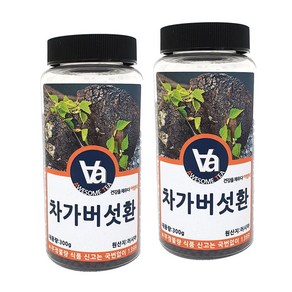 어썸티 러시아 차가버섯환, 300g, 2개