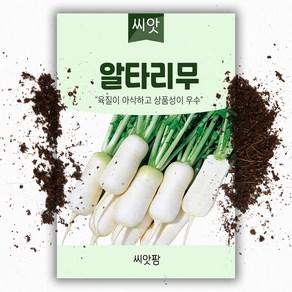 알타리무씨앗(1500립), 1개