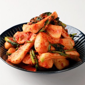 바르미김치 매운실비 총각김치, 1개, 5kg