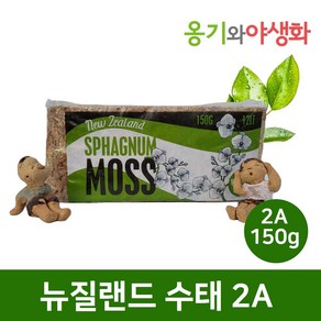 옹기와야생화 뉴질랜드 수태 2A 150g, 뉴질랜드수태 4A 100g, 1개