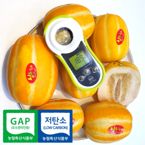 [100% 환불보장] 성주 참외 GAP 인증 당도선별 고당도 프리미엄 참외, 1박스, 3kg(가정용-중소과)