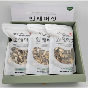 건조 잎새버섯 100g 200g {GAP인증 무농약 강원도양양특산물}